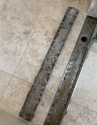 Before: Shower drain clogged with grime