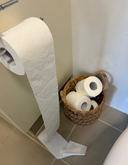 Before: Loose toilet roll hanging to the floor