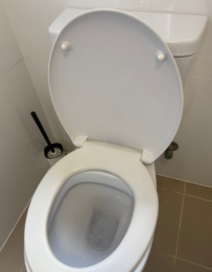 After: Spotless toilet bowl